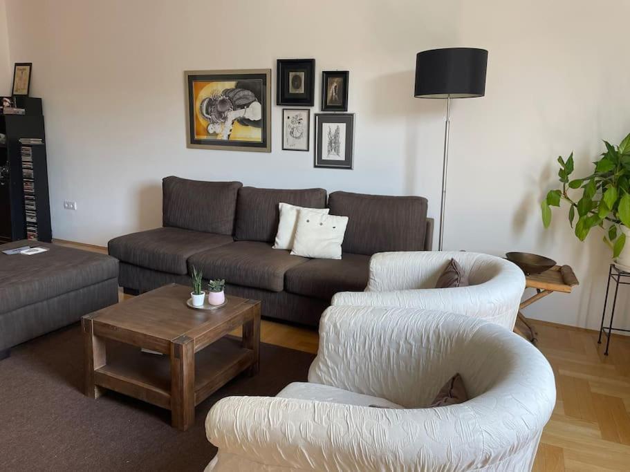 Spacious 3Br/2Bt Apartment With A/C In City Center Загреб Экстерьер фото