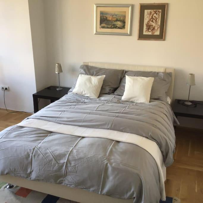 Spacious 3Br/2Bt Apartment With A/C In City Center Загреб Экстерьер фото