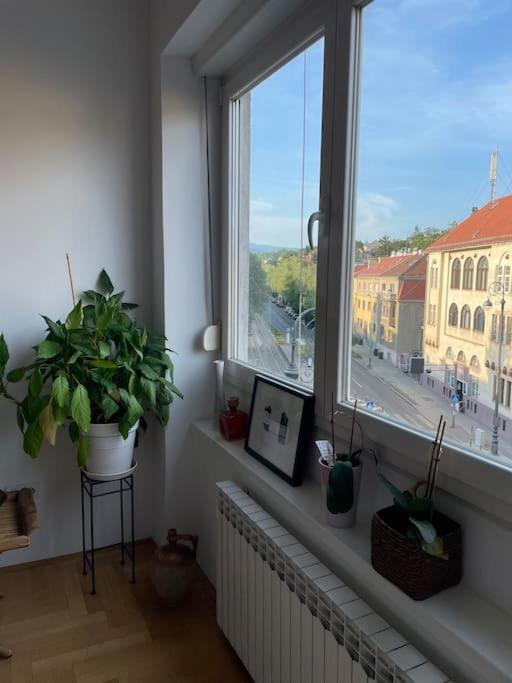 Spacious 3Br/2Bt Apartment With A/C In City Center Загреб Экстерьер фото